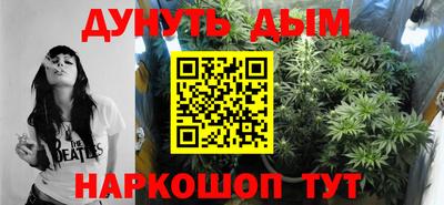 гидра Моздок
