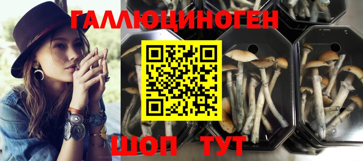 Псилоцибиновые грибы GOLDEN TEACHER  Псилоцибиновые грибы прущие грибы  Славянск-на-Кубани  Вход с VPN 